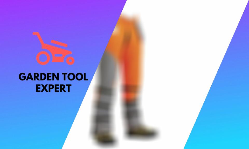 Are Chainsaw Chaps Necessary? 25 Things You Should Know Garden Tool