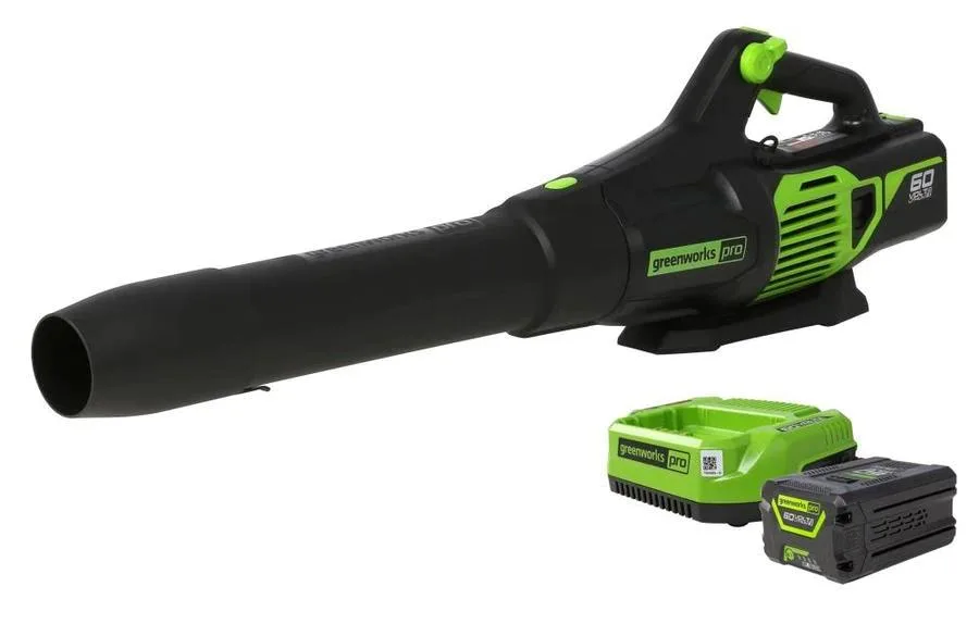 How Do Gas Leaf Blowers Compare To Electric Ones In Terms Of Power?