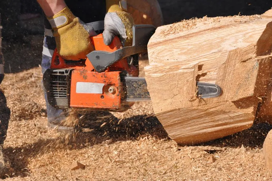 Gas Chainsaw vs Electric Chainsaw: What Is Better?