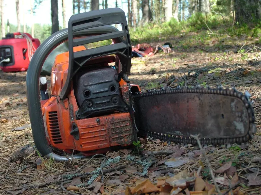 This Is How You Remove Rust from Chainsaw.jpg AgroPower Vrtni alati i strojevi
