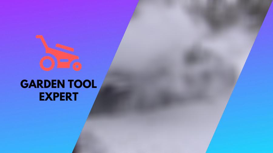 Blowing Snow with a Leaf Blower: Everything you need to know – Garden Tool  Expert