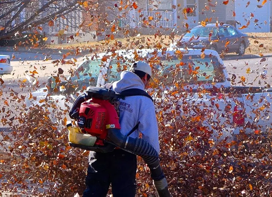 Leaf Blower Buying Guide: 14 Things to Look For (With Checklist) – Garden Tool Expert