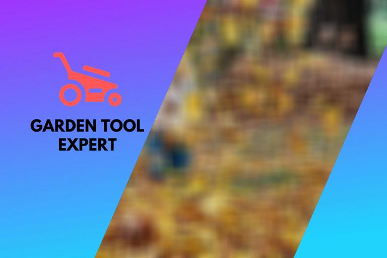 Leaf Blower Buying Guide 14 Things to Check, With Checklist Garden