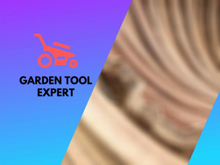 How Dry Should Wood Be For Woodworking. A pro perspective Garden Tool