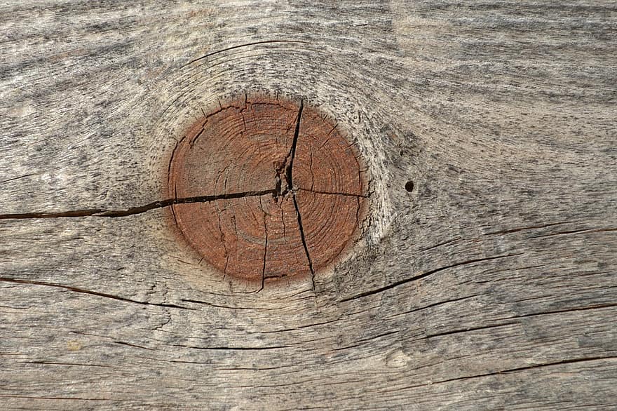  hur man torkar trä utan splittring eller sprickbildning 1