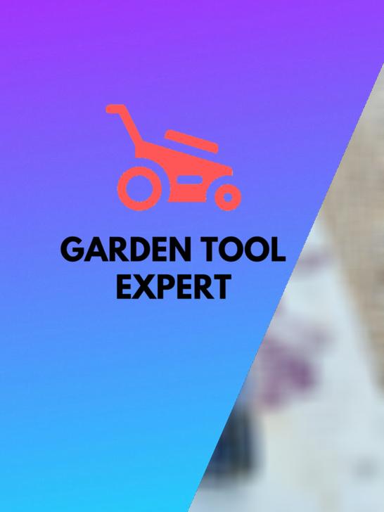 How To Clean A Lawn Mower Carburetor. With Helpful Tips Garden Tool Expert Store