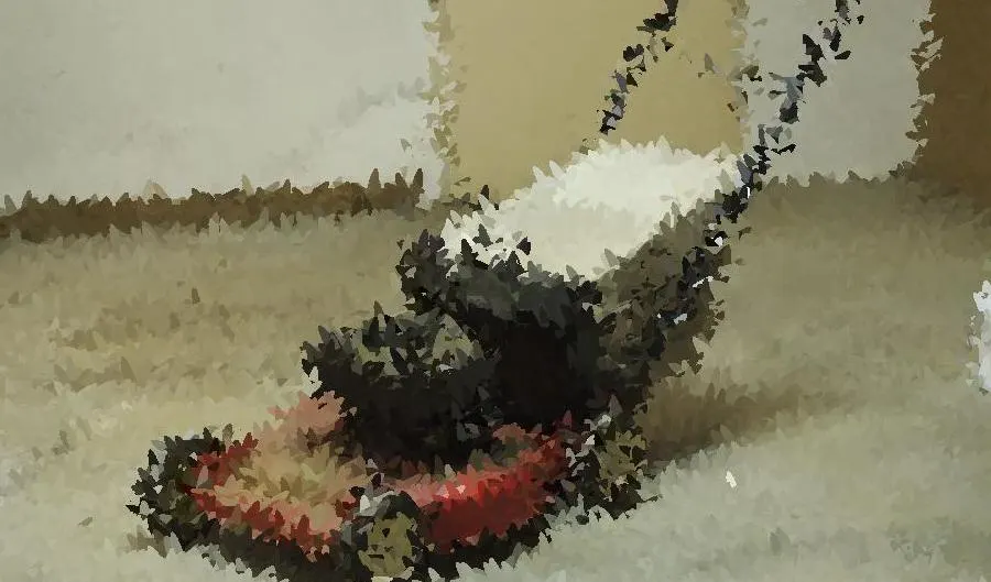 What happens if You Put Mixed Gas in a Lawnmower Garden Tool