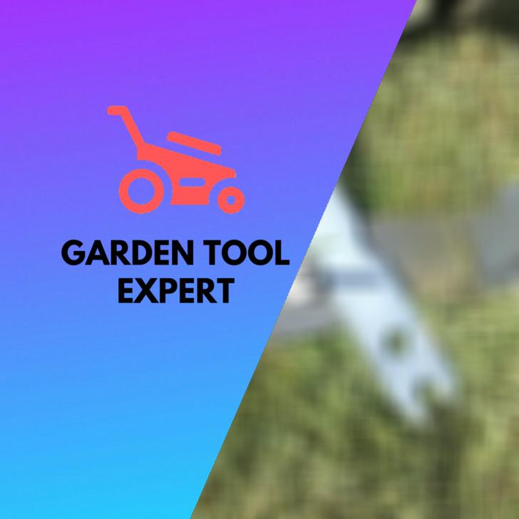 When to replace lawnmower blades? 10 Things You Should Know Garden