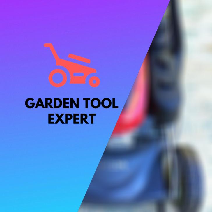 How to clean a Honda lawnmower carburetor, step by step Garden Tool