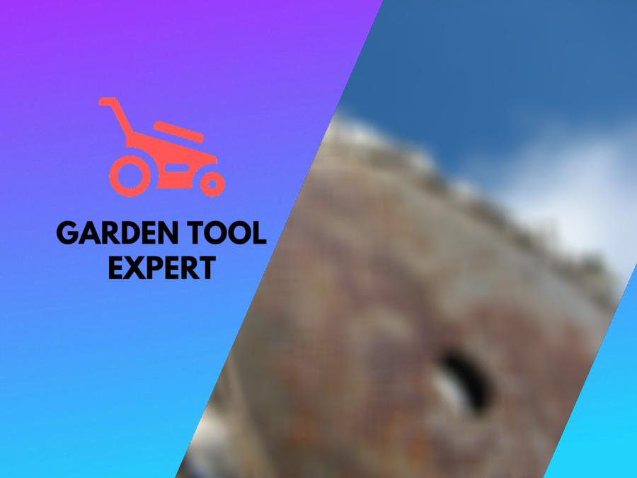 Chainsaw Bar Oil 7 things you should know. Helpful Tips Garden Tool