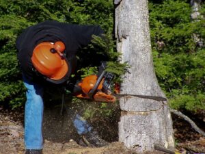 Chainsaw Accessories, what should each user have..