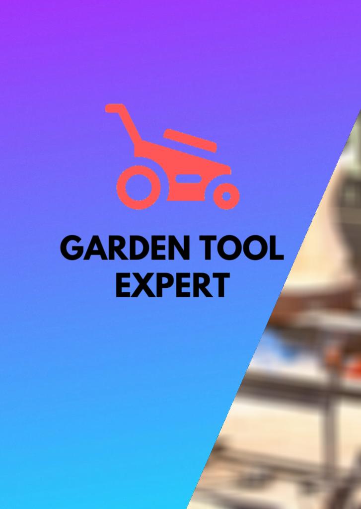 Chainsaw Carving. Tips from a Professional Garden Tool Expert Store