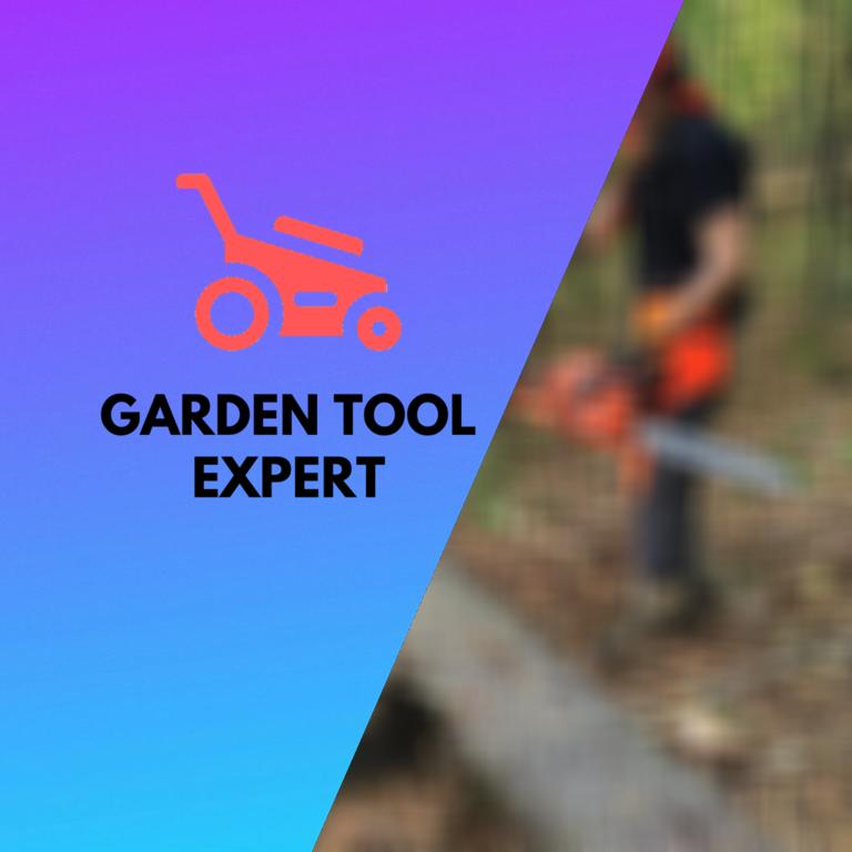 Chainsaw Starts but then Dies. Tips from a Professional Garden Tool