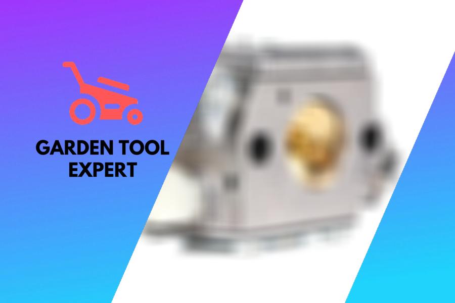 Briggs stratton carburetor cleaning deals